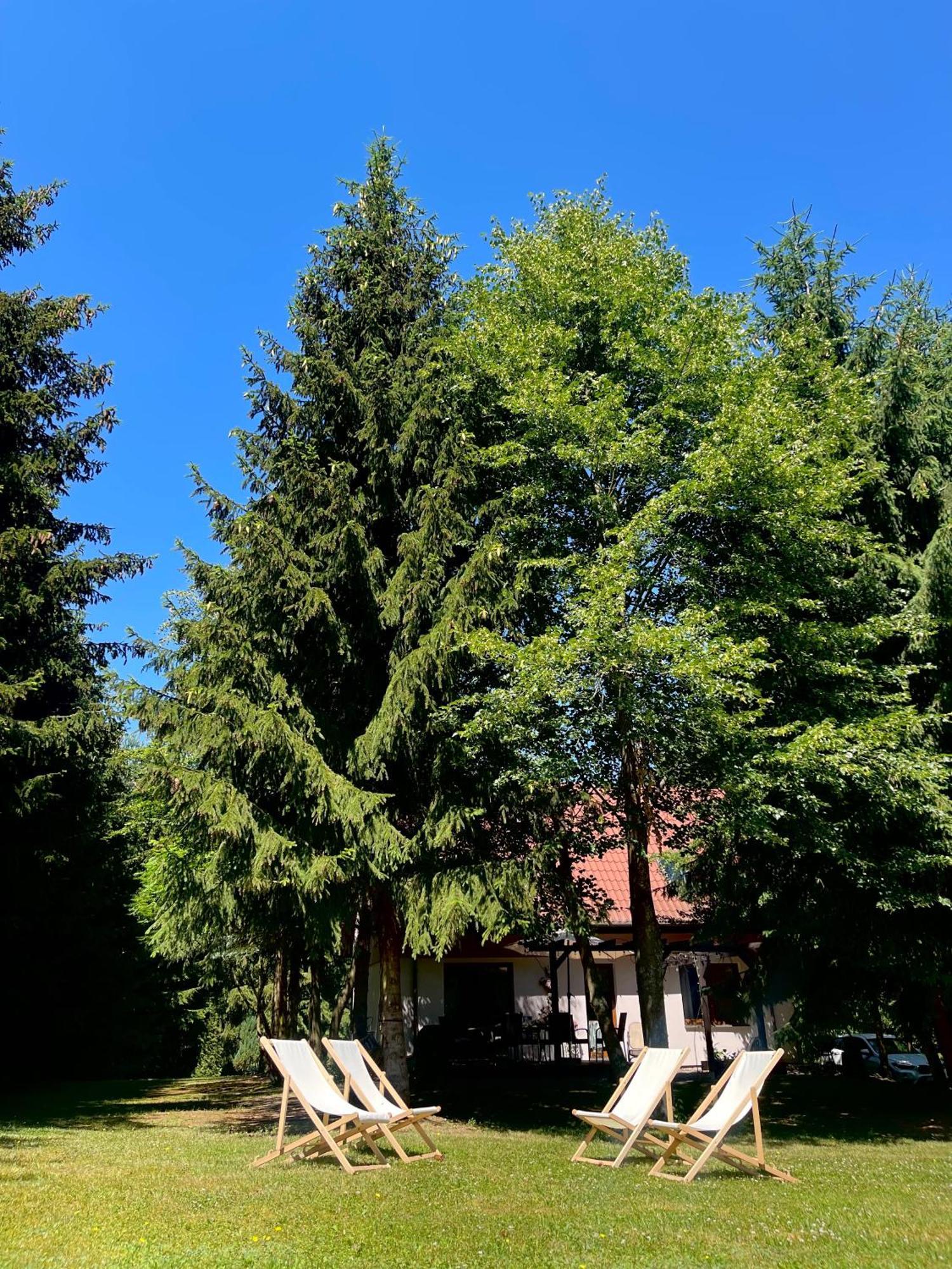 Sielanka Kretowiny Villa Екстериор снимка